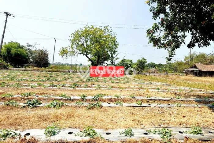 Tanah Dijual di Indramayu Seluas 12990m2 Strategis Tanah Dijual di Indramayu Seluas 12990m2 Strategis