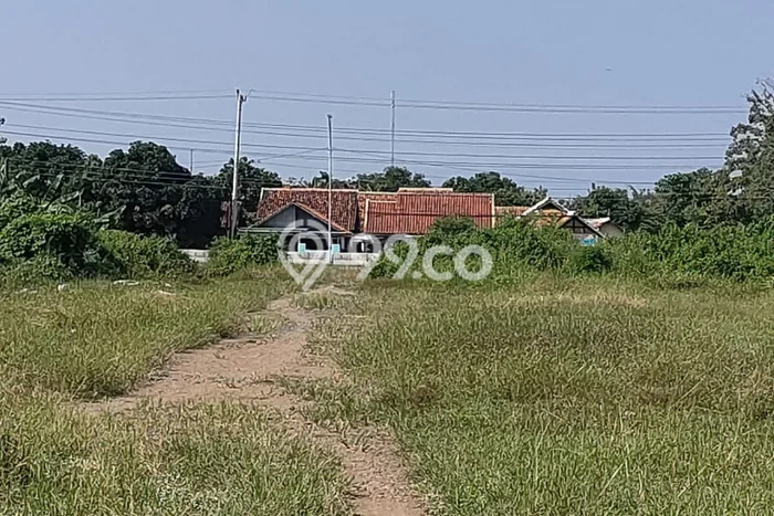 Lahan Strategis di Warureja Dijual dengan Luas 18500m2 Lahan Strategis di Warureja Dijual dengan Luas 18500m2