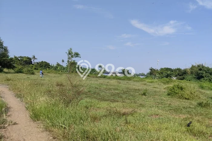 Lahan Strategis di Warureja Dijual dengan Luas 18500m2 Lahan Strategis di Warureja Dijual dengan Luas 18500m2