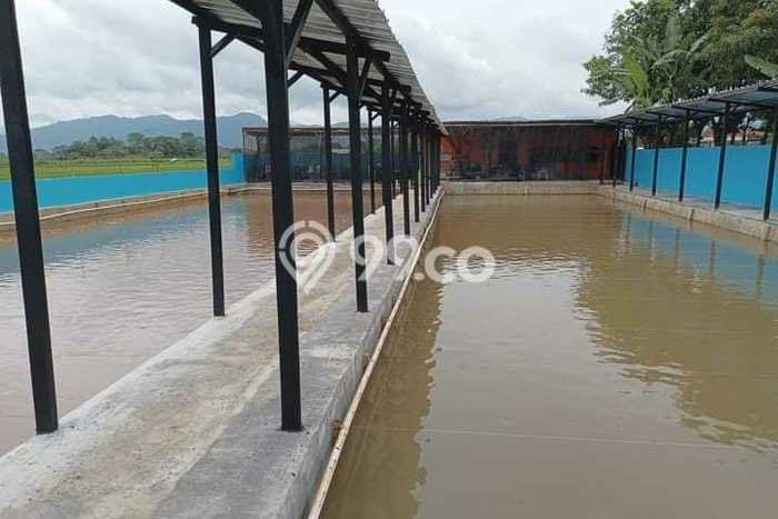 Unit Komersial Dijual di Lebakwangi Kuningan Luas Bangunan 700m2 Unit Komersial Dijual di Lebakwangi Kuningan Luas Bangunan 700m2