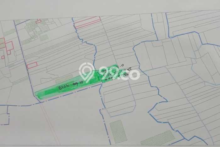 Tanah Kavling untuk Dijual di Jatiwangi Majalengka 16000m2 Tanah Kavling untuk Dijual di Jatiwangi Majalengka 16000m2