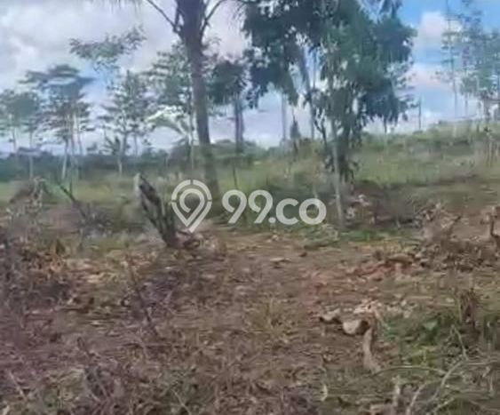 Untuk Dijual Tanah di Cileles Lebak Luas 14253m2 SHM Untuk Dijual Tanah di Cileles Lebak Luas 14253m2 SHM