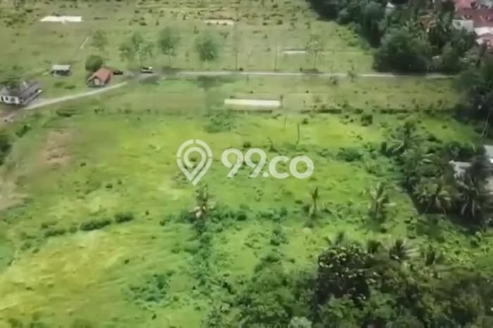 Untuk Dijual Tanah di Cileles Lebak Luas 14253m2 SHM Untuk Dijual Tanah di Cileles Lebak Luas 14253m2 SHM