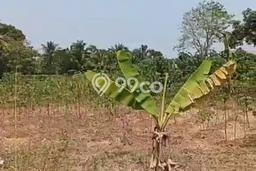 Lahan untuk Dijual Lokasi Balaraja, Tangerang Luas 10000m2 SHM Lahan untuk Dijual Lokasi Balaraja, Tangerang Luas 10000m2 SHM
