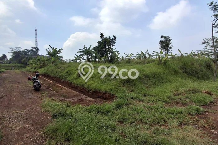 Kavling Tanah di Jatinangor Dijual Luas 305m2 Legalitas SHM Kavling Tanah di Jatinangor Dijual Luas 305m2 Legalitas SHM