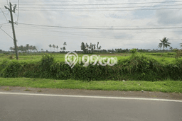 Tanah Kavling untuk Dijual di Pakis Malang 6738m2 Tanah Kavling untuk Dijual di Pakis Malang 6738m2