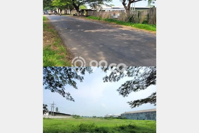 Dijual Tanah Area Prospektif Kawasan Kraton, Luas 10886m2m², Dekat Kraton, Pasuruan, Pasuruan Dijual Tanah Area Prospektif Kawasan Kraton, Luas 10886m2m², Dekat Kraton, Pasuruan, Pasuruan