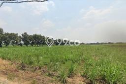 Lahan Dijual Lokasi Krian, Sidoarjo dengan Luas Tanah 17340m2 dan Status - Lahan Dijual Lokasi Krian, Sidoarjo dengan Luas Tanah 17340m2 dan Status -