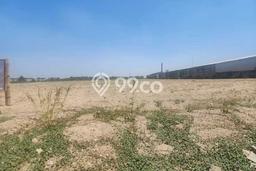 Kavling Tanah Dijual di Ploso, Jombang, Luas 100000m2 Area Strategis Kavling Tanah Dijual di Ploso, Jombang, Luas 100000m2 Area Strategis