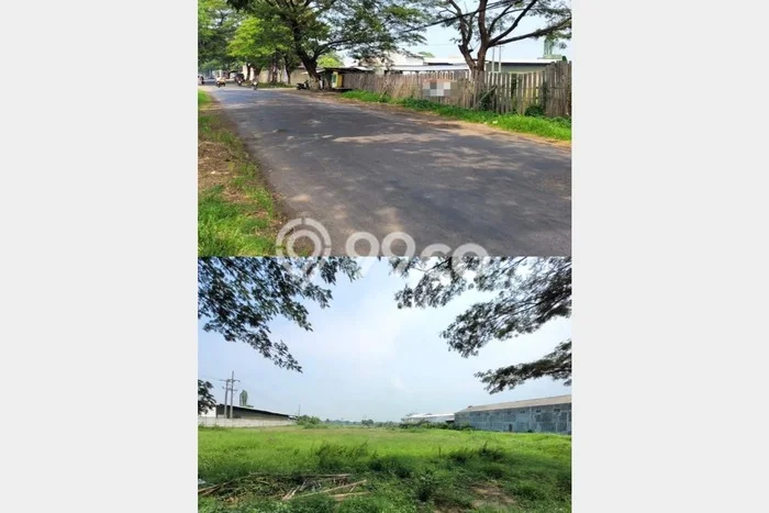 Dijual Tanah Area Prospektif Kawasan Kraton, Luas 10886m2m², Dekat Kraton, Pasuruan, Pasuruan Dijual Tanah Area Prospektif Kawasan Kraton, Luas 10886m2m², Dekat Kraton, Pasuruan, Pasuruan