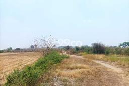 Jarang Ada! Tanah di Pucuk Punya Luas 150000m2 SHM Jarang Ada! Tanah di Pucuk Punya Luas 150000m2 SHM