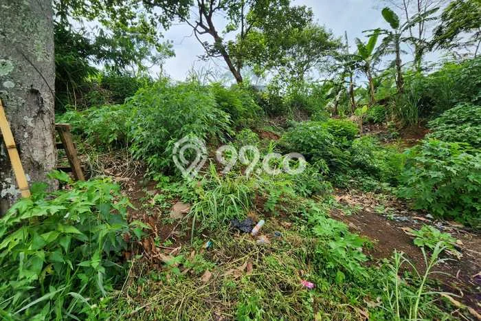 Tanah Dijual Lokasi Ciumbuleuit Bandung - Tanah Dijual Lokasi Ciumbuleuit Bandung -