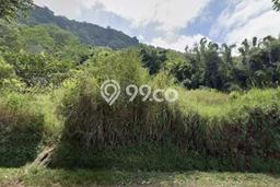 Tanah Dijual Lokasi Sukasada, Buleleng Luas 8600m2 Legalitas Aman Tanah Dijual Lokasi Sukasada, Buleleng Luas 8600m2 Legalitas Aman