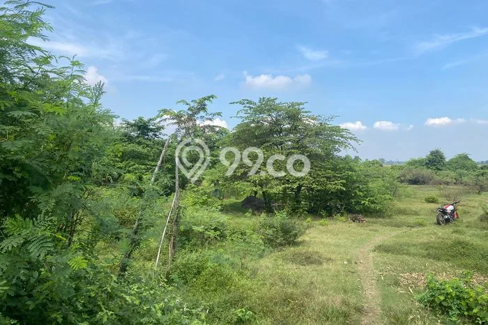 Lahan Kosong Dijual di Setu, Bekasi, Luas 50000m2 Area Strategis Lahan Kosong Dijual di Setu, Bekasi, Luas 50000m2 Area Strategis