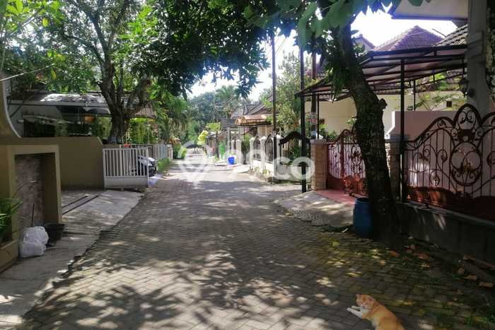 Jual Rumah Strategis Bagus Punya 3 KT di Sleman Sleman SHM Jual Rumah Strategis Bagus Punya 3 KT di Sleman Sleman SHM