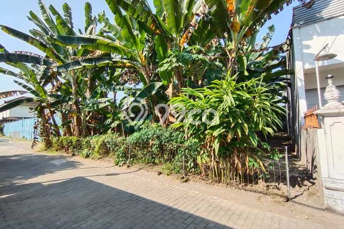 Jarang Ada! Tanah di Sleman Punya Luas 498m2 SHM Jarang Ada! Tanah di Sleman Punya Luas 498m2 SHM