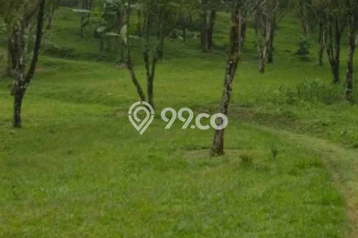 Tanah Kavling di Ciater Dijual dengan Luas 70000m2 Tanah Kavling di Ciater Dijual dengan Luas 70000m2
