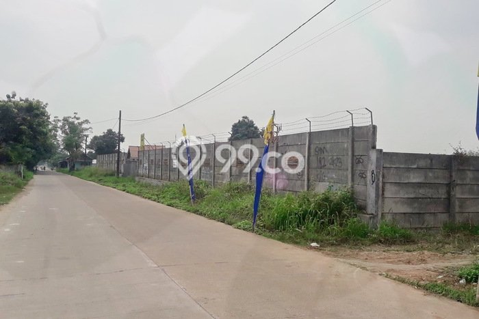 Tanah Dijual Lokasi Ciruas, Serang Luas 17000m2 Legalitas Aman Tanah Dijual Lokasi Ciruas, Serang Luas 17000m2 Legalitas Aman