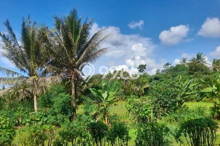 Kavling Tanah untuk Dijual di Cilegon Indah, Cilegon, Luas 500000m2 Kavling Tanah untuk Dijual di Cilegon Indah, Cilegon, Luas 500000m2