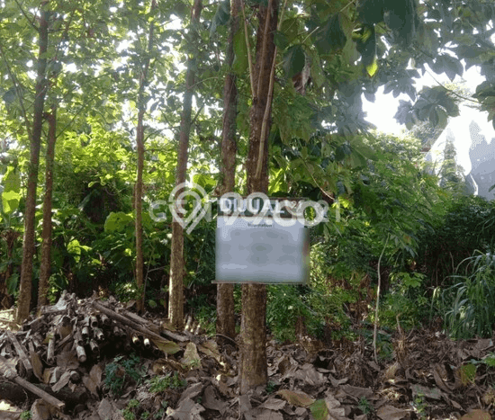 Tanah Kavling Dijual di Serang dengan Spesifikasi 700m2 Tanah Kavling Dijual di Serang dengan Spesifikasi 700m2