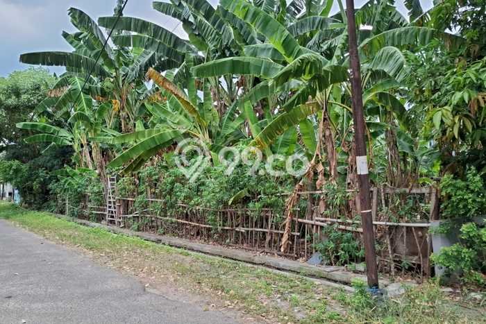 Tanah Investasi Dijual di Cilegon Punya Luas 800m2 Tanah Investasi Dijual di Cilegon Punya Luas 800m2
