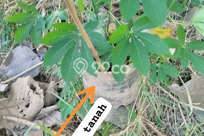 Tanah Komersial Dijual di Cibeber Cilegon 250m2 Tanah Komersial Dijual di Cibeber Cilegon 250m2
