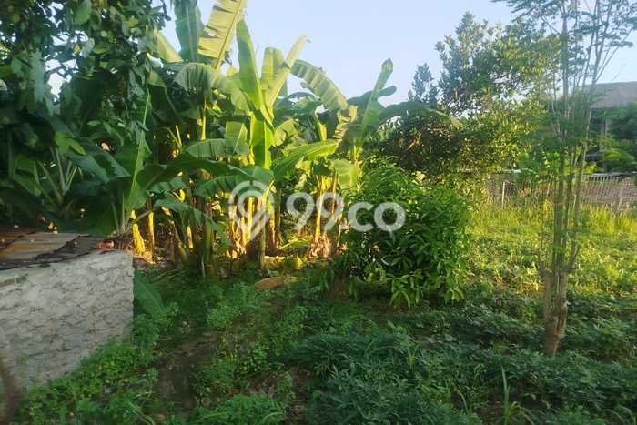 Kavling Tanah Dijual di Cibeber, Cilegon, Luas 500m2 Area Strategis Kavling Tanah Dijual di Cibeber, Cilegon, Luas 500m2 Area Strategis
