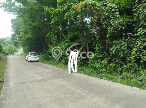 Tanah Kavling di Baros Dijual dengan Luas 5000m2 Tanah Kavling di Baros Dijual dengan Luas 5000m2