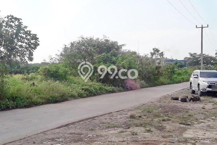 Untuk Dijual Tanah di Ciruas Serang Luas 3000m2 - Untuk Dijual Tanah di Ciruas Serang Luas 3000m2 -