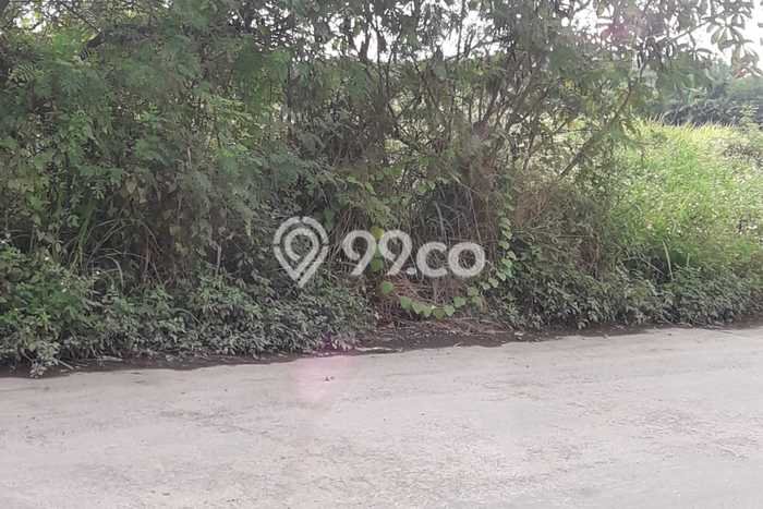Untuk Dijual Tanah di Ciruas Serang Luas 3000m2 - Untuk Dijual Tanah di Ciruas Serang Luas 3000m2 -