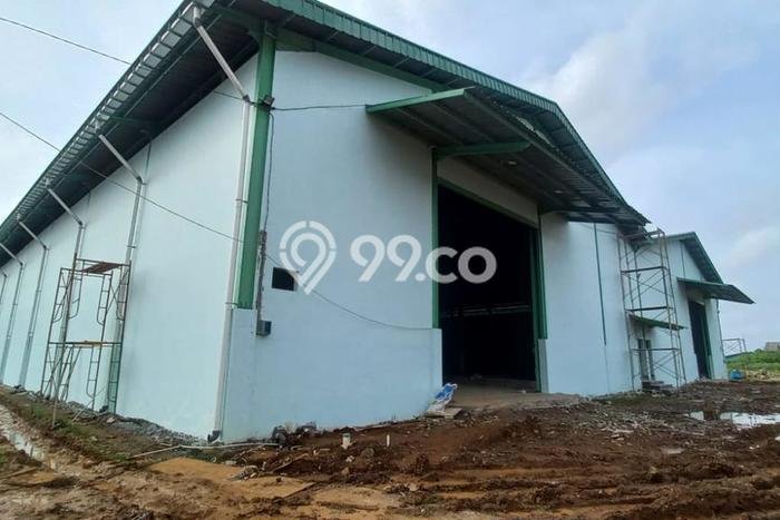 Gudang Disewakan Cepat di Sepatan Tangerang LB 1008m2 Gudang Disewakan Cepat di Sepatan Tangerang LB 1008m2