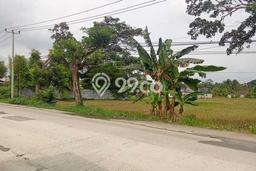 Lahan untuk Dijual Lokasi Rangkasbitung, Lebak Luas 17750m2 SHM Lahan untuk Dijual Lokasi Rangkasbitung, Lebak Luas 17750m2 SHM