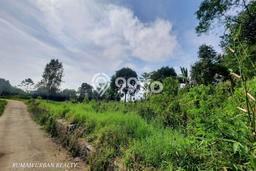 Tanah Dijual Lokasi Soreang, Bandung dengan Luas Tanah 4800m2 dan Status SHM Tanah Dijual Lokasi Soreang, Bandung dengan Luas Tanah 4800m2 dan Status SHM