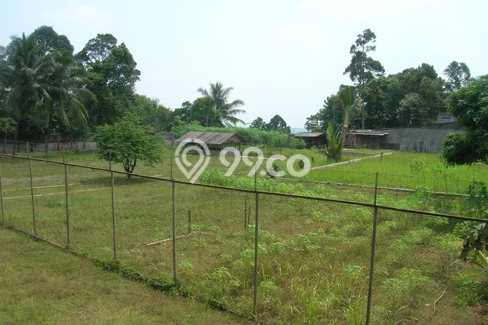 Tanah Dijual Lokasi Ciawi, Bogor Luas 9070m2 Legalitas Aman Tanah Dijual Lokasi Ciawi, Bogor Luas 9070m2 Legalitas Aman