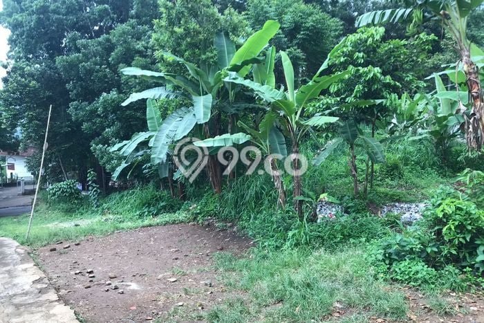 Tanah di Cibadak, Sukabumi Luas 3150m2 Dijual Segera Tanah di Cibadak, Sukabumi Luas 3150m2 Dijual Segera