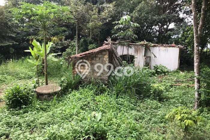 Tanah di Cibadak, Sukabumi Luas 3150m2 Dijual Segera Tanah di Cibadak, Sukabumi Luas 3150m2 Dijual Segera