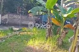Tanah Kavling Dijual di Bogor dengan Spesifikasi 4232m2 Tanah Kavling Dijual di Bogor dengan Spesifikasi 4232m2