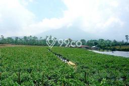 Lahan Kosong Dijual di Cianjur, Cianjur, Luas 60000m2 Area Strategis Lahan Kosong Dijual di Cianjur, Cianjur, Luas 60000m2 Area Strategis
