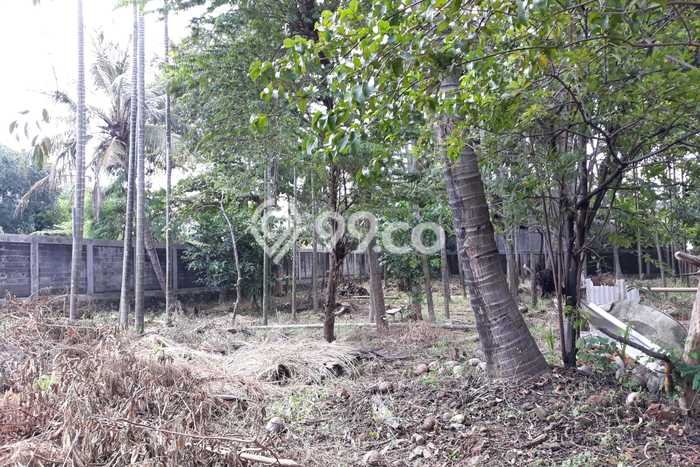 Tanah Kavling Dijual di Jakarta Timur dengan Spesifikasi 1498m2 Tanah Kavling Dijual di Jakarta Timur dengan Spesifikasi 1498m2