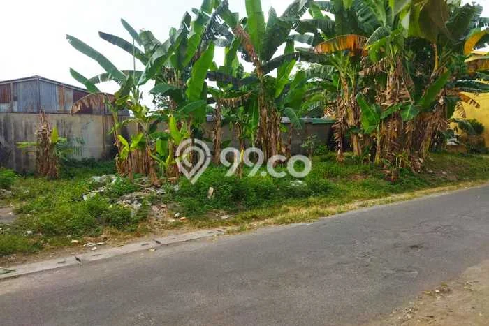 Lahan Strategis di Depok Sleman Disewakan dengan Luas 376m2 Lahan Strategis di Depok Sleman Disewakan dengan Luas 376m2