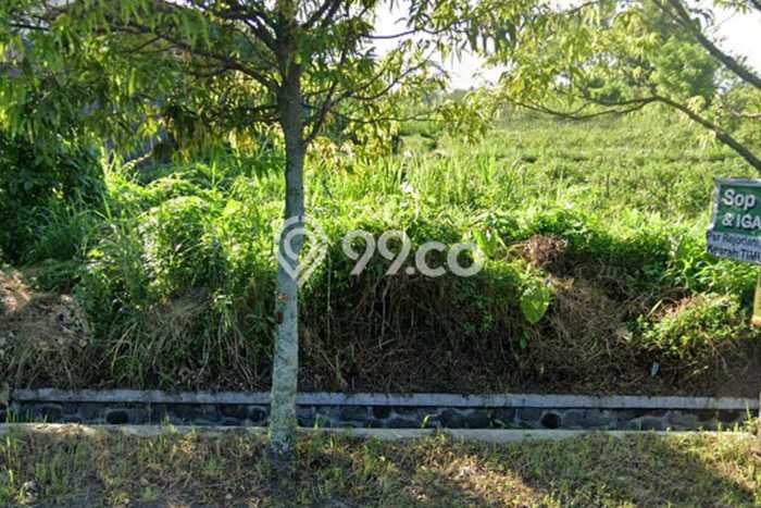 Kavling Tanah Disewakan di Ngaglik Sleman Luas 4800m2 Strategis Kavling Tanah Disewakan di Ngaglik Sleman Luas 4800m2 Strategis