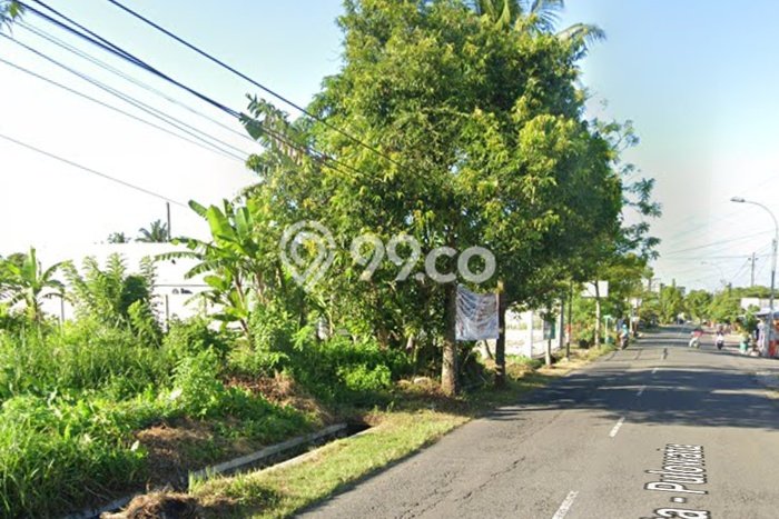 Kavling Tanah Disewakan di Ngaglik Sleman Luas 4800m2 Strategis Kavling Tanah Disewakan di Ngaglik Sleman Luas 4800m2 Strategis