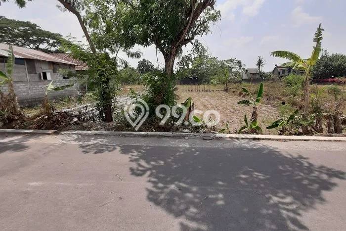 Tanah Siap Pakai Disewakan di Ngaglik, Sleman, Luas 1000m2 Tanah Siap Pakai Disewakan di Ngaglik, Sleman, Luas 1000m2