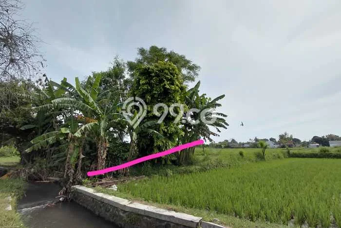Tanah Strategis Dijual di Godean Sleman 1170m2 Tanah Strategis Dijual di Godean Sleman 1170m2