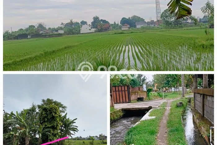Tanah Strategis Dijual di Godean Sleman 1170m2 Tanah Strategis Dijual di Godean Sleman 1170m2
