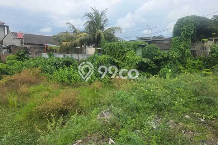 Jarang Ada! Tanah di Cilegon Punya Luas 3668m2 SHM Jarang Ada! Tanah di Cilegon Punya Luas 3668m2 SHM