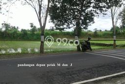 Tanah Kawasan Abiansemal, Luas 19000m², Lokasi Strategis, Kawasan Asri, Bebas Banjir Tanah Kawasan Abiansemal, Luas 19000m², Lokasi Strategis, Kawasan Asri, Bebas Banjir