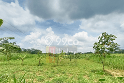 Lahan Investasi Lokasi Ampel Boyolali - Lahan Investasi Lokasi Ampel Boyolali -