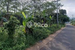 Tanah Kavling untuk Dijual di Gringsing Batang 90000m2 Tanah Kavling untuk Dijual di Gringsing Batang 90000m2