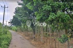 Dijual Tanah di Tulis Batang Luas 1.45e+06m2 Hak Pakai Dijual Tanah di Tulis Batang Luas 1.45e+06m2 Hak Pakai